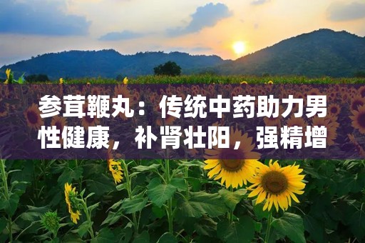参茸鞭丸：传统中药助力男性健康，补肾壮阳，强精增髓