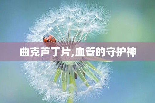 曲克芦丁片,血管的守护神