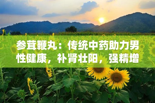 参茸鞭丸：传统中药助力男性健康，补肾壮阳，强精增髓
