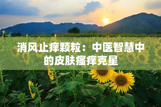 消风止痒颗粒：中医智慧中的皮肤瘙痒克星