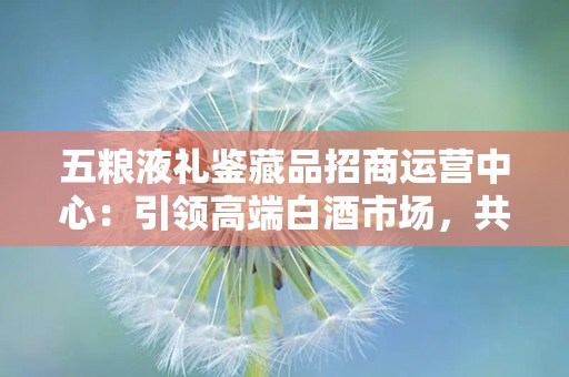 五粮液礼鉴藏品招商运营中心：引领高端白酒市场，共创财富新篇章