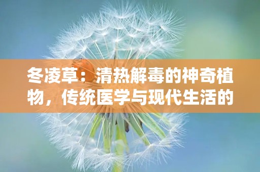 冬凌草：清热解毒的神奇植物，传统医学与现代生活的融合
