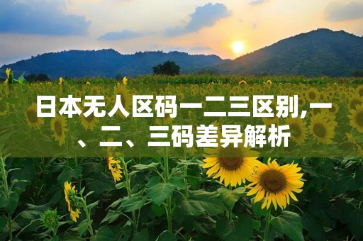 日本无人区码一二三区别,一、二、三码差异解析