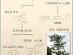 青蒿素读音,青蒿素：神奇的抗疟药物