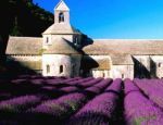 玛赛，这座充满神秘色彩的古老城市，位于法国的普罗旺斯地区，是法国南方的一颗璀璨明珠